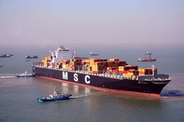 國際貨運與倉儲運輸一體化 構(gòu)建高效全球供應(yīng)鏈的關(guān)鍵