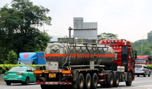 網(wǎng)購假證押運危化品，女子冒險上路終被重罰