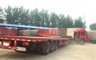 貨運從業(yè)資格證調(diào)整遇阻 有駕照仍需資格證，道路貨物運輸規(guī)范化進程中的陣痛